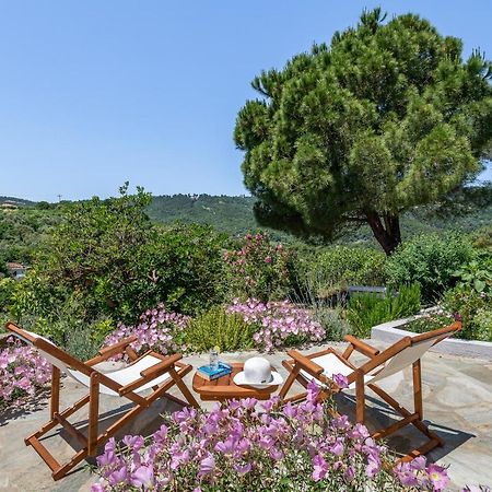 Villa Ambeli Skopelos Extérieur photo