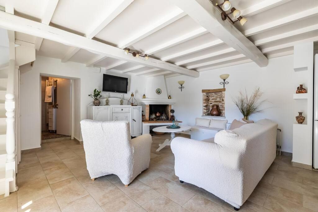 Villa Ambeli Skopelos Extérieur photo
