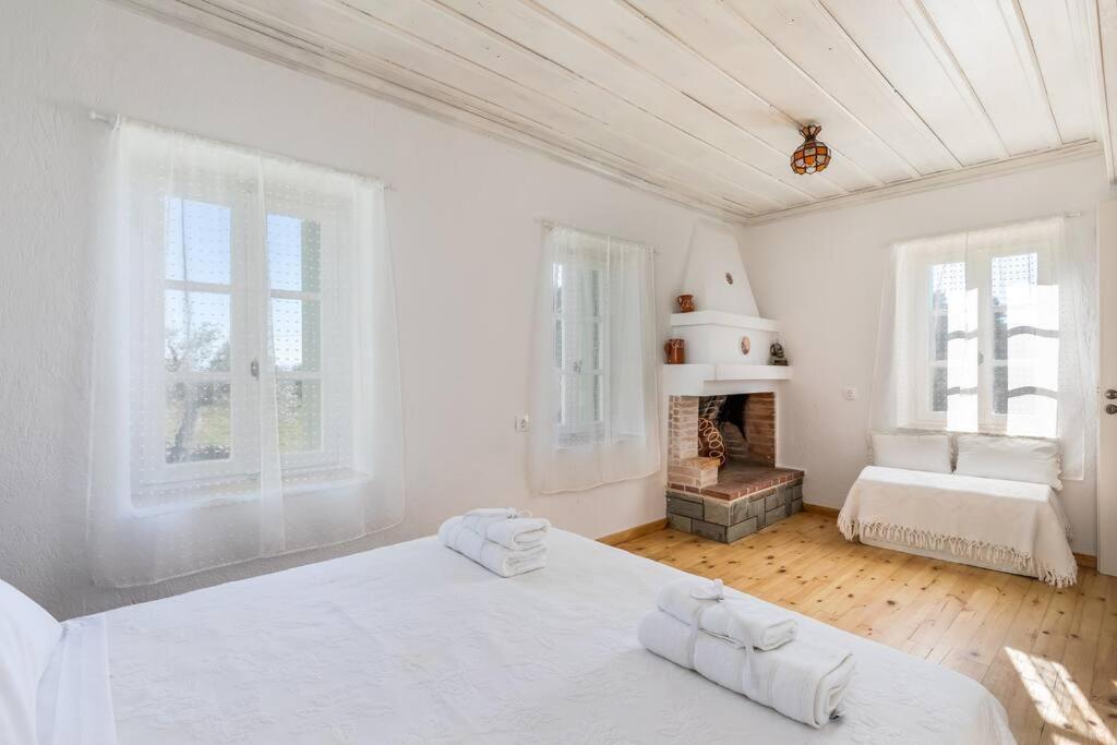Villa Ambeli Skopelos Extérieur photo