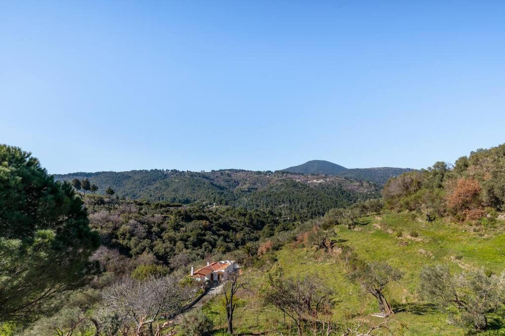 Villa Ambeli Skopelos Extérieur photo