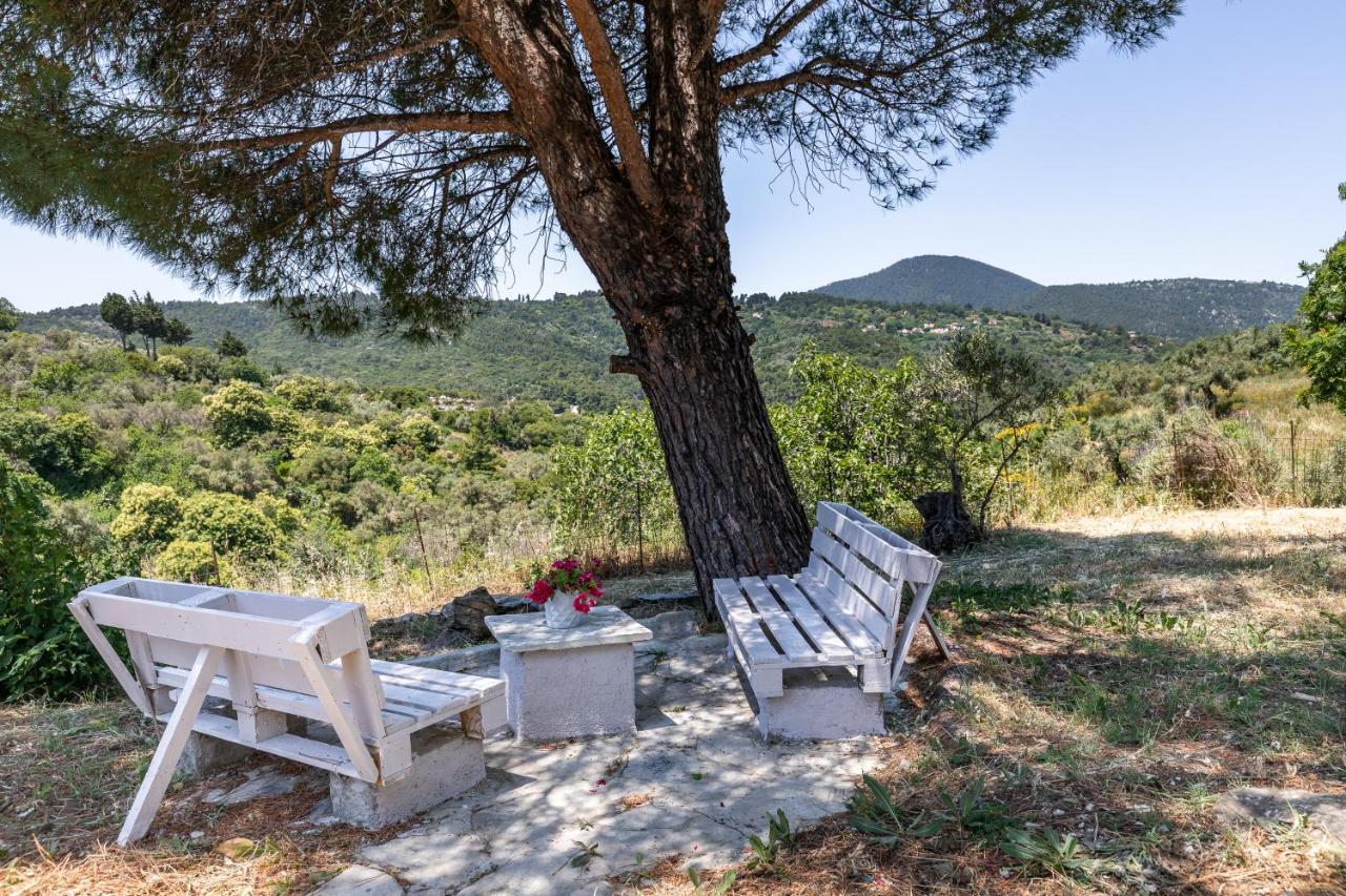 Villa Ambeli Skopelos Extérieur photo